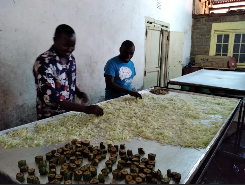 Kenya Plant-Based Protein Innovation, Research & Standards Hub